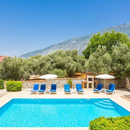 فيلة Golden Trio